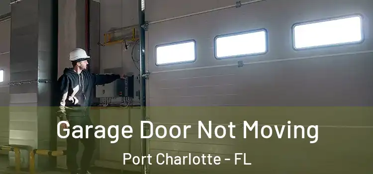  Garage Door Not Moving Port Charlotte - FL