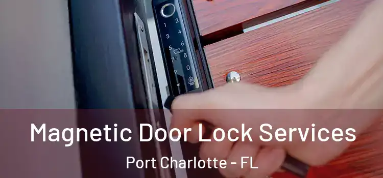  Magnetic Door Lock Services Port Charlotte - FL