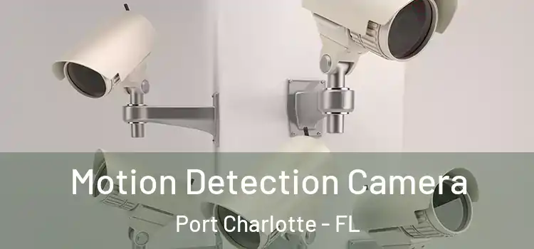  Motion Detection Camera Port Charlotte - FL